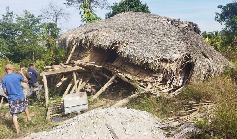 Wild elephant kills youth, search operation launched | Arunachal Observer