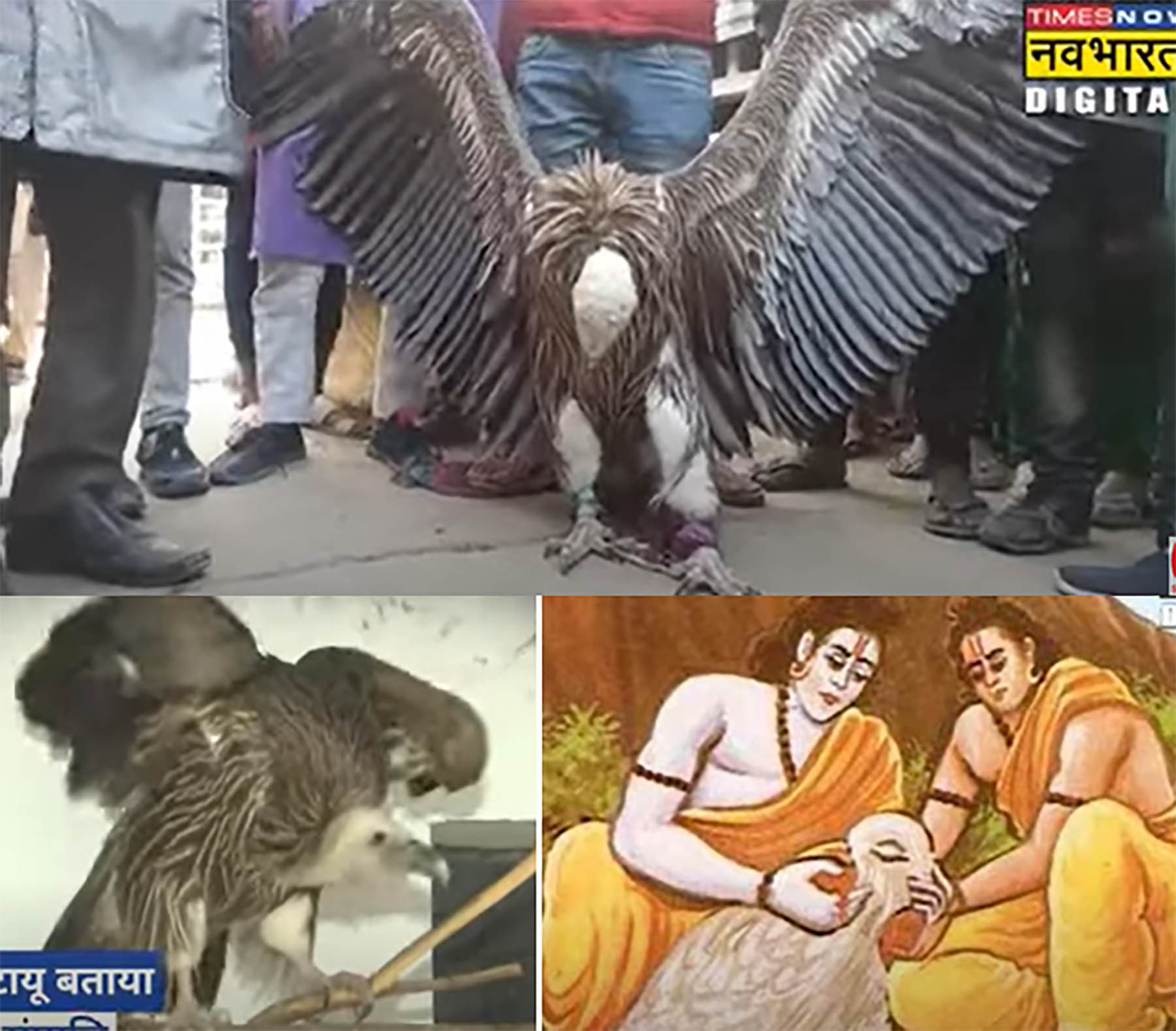 Jatayu appears as devotes prepare for Lord Ram idol consecration